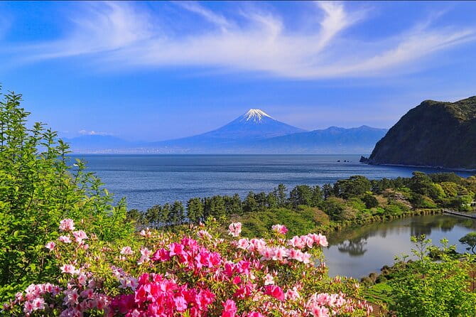 10 Days In-depth Discover Japan Deluxe Tour - Pickup and Meeting Details