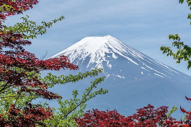 10 Days In-depth Discover Japan Deluxe Tour - Tour Dates and Availability