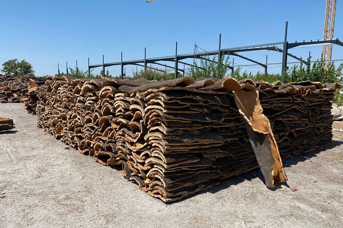 10 Days Private Tour in Portugal - Exploring Lisbon’s Historic Heart