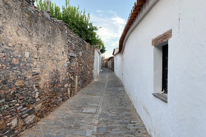 10 Days Private Tour in Portugal - Porto’s Charms and Flavors