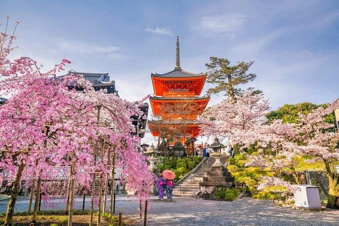 10 Hour Private Customizable Tour to Kyoto From Osaka - Highlights of the Kyoto Tour