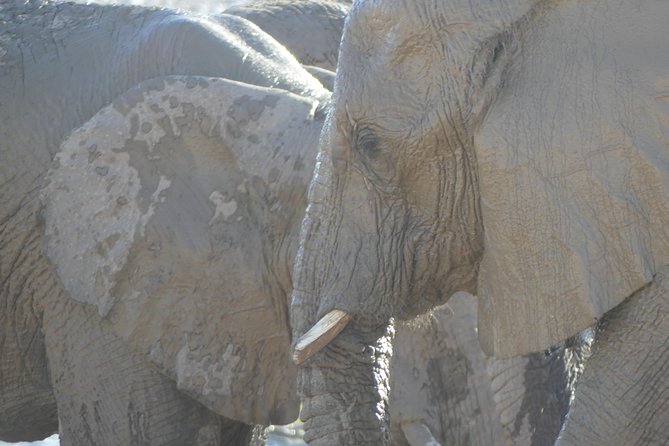 10 Namibia Adventures - Personalized Safari Experiences