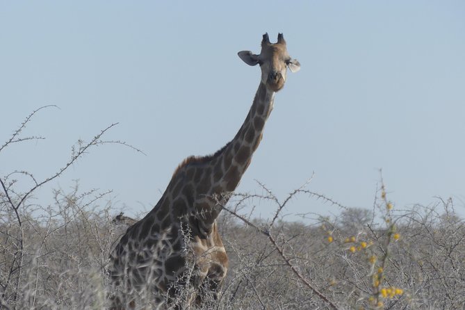 10 Namibia Adventures - Namib-Naukluft National Park Adventure