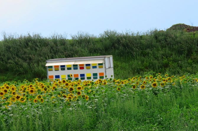 100 km by bike near Bucharest - Price and Value Considerations