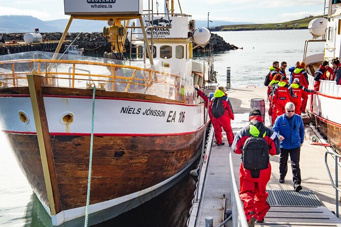 100% Whale Watching - Meeting Point