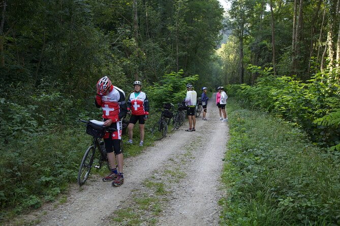 11-Day Private Lite Tour Across Switzerland by Bike from Geneve - Detailed Day-by-Day Breakdown