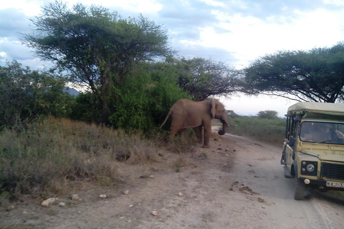 12-DAY Kenya and Tanzania Budget Private Safari From Nairobi - Accommodation Options