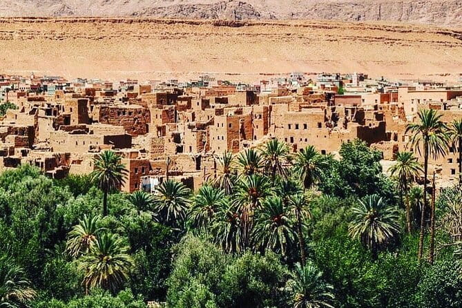 12 Day Morocco Tour - Schedule and Accessibility