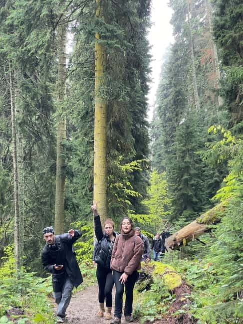 13 km hiking tour from Kutaisi to Borjomi - Key Points / Takeaways