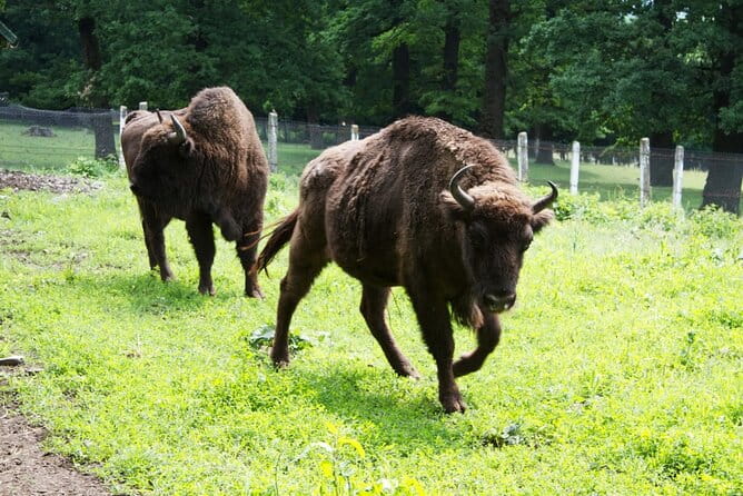 15 Days Private Tour in Romania, Moldova and Transnistria - Who Will Love This Tour?