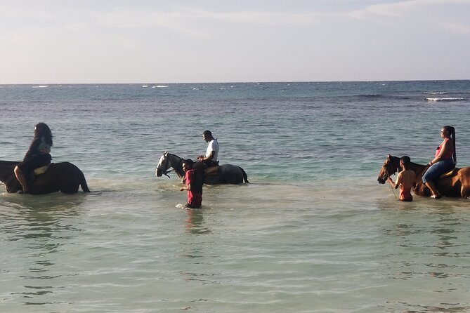 15. Ocho Rios Highlite Private Sightseeing, Shopping Half Day Guided Tours - Tour Overview