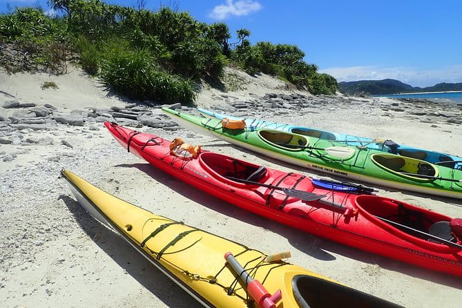 1day Kayak Tour in Kerama Islands and Zamami Island - Customer Reviews