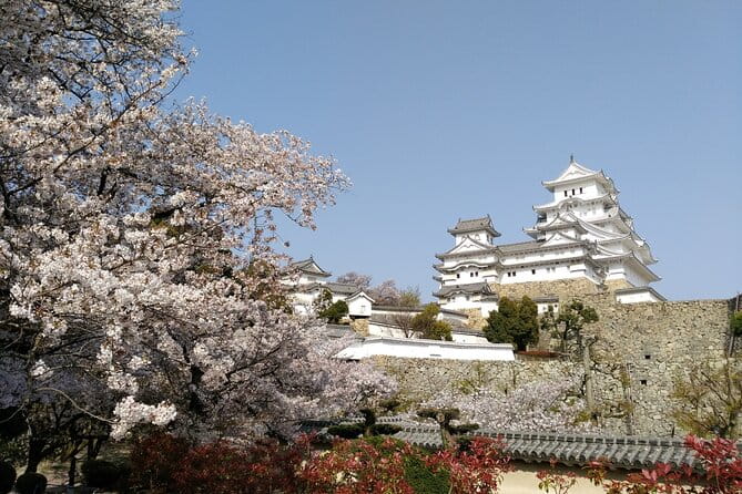 2.5 Hour Private History and Culture Tour in Himeji Castle - Engaging and Informative Tour Guides