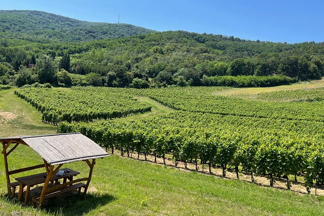 2 day Boat Trip and City Tour in Tokaj Hungary with Wine Tasting - Key Points / Takeaways