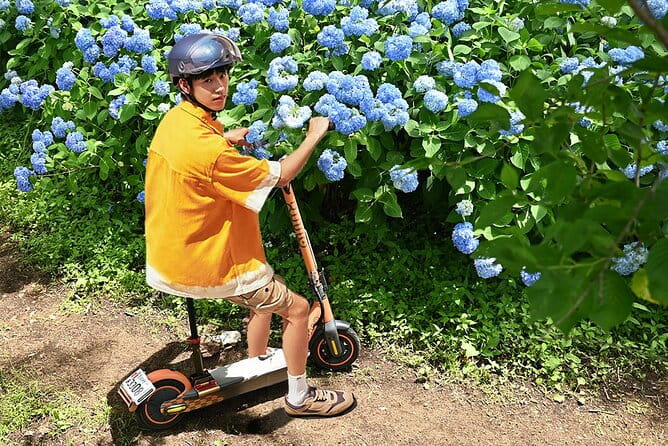 2-Day Electric Scooter Rental in Okinawa - Insurance and Liability
