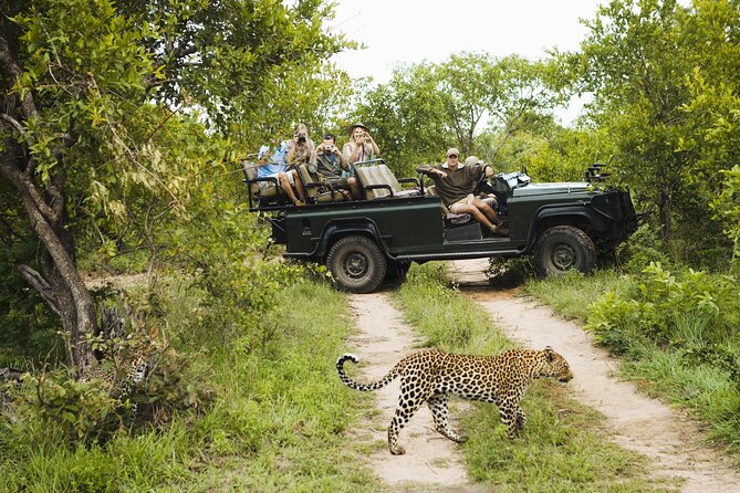 2-Day Kruger National Park Safari From Johannesburg - Pickup and Logistics