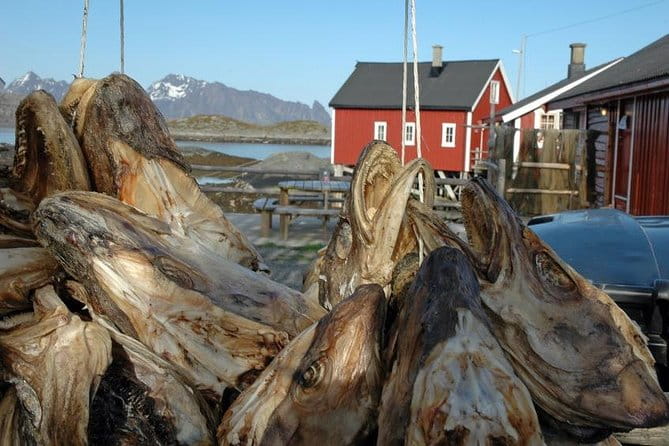 2-Day Lofoten Highlights Photo Tour (Summer) - Exploring the Lofoten Highlights Photo Tour in Detail