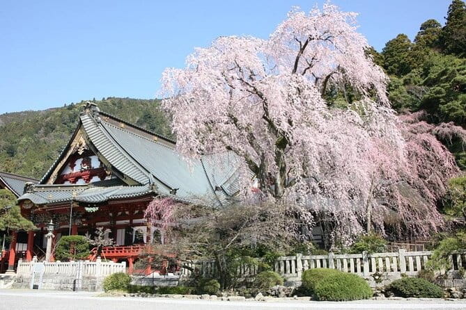 2-Day Private Guided Overnight Hike & Buddhist Temple Stay in Shichimenzan - Meeting Points and Transportation