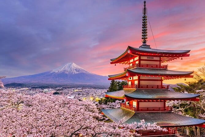 2-Day Private Tokyo MT Fuji Hakone Sightseeing Tour With Guide - Attractions and Activities Included