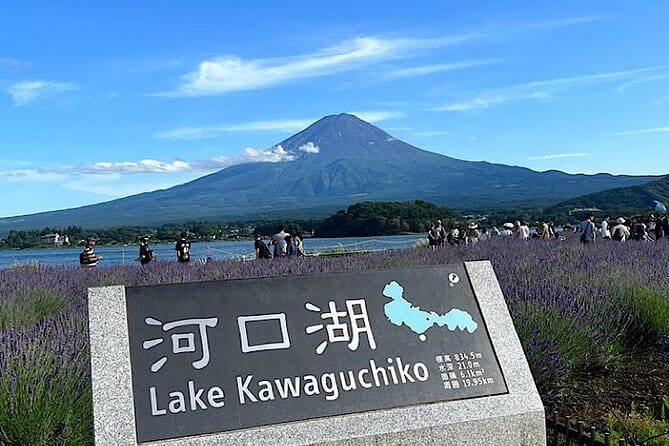 2-Day Private Tokyo MT Fuji Hakone Sightseeing Tour With Guide - Accessibility Features