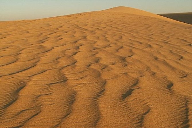 2 Day Safari in the White and Black Desert - Exploring the White Desert