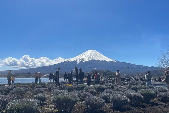 2-Day Tokyo-Mt. Fuji Hakone Odawara Castle Kamakura, Onsen Ryokan - Key Points