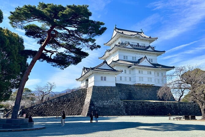 2-Day Tokyo-Mt. Fuji Hakone Odawara Castle Kamakura, Onsen Ryokan - Booking Details