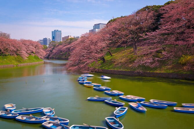 2-Day Tour: Mt Fuji and Tokyo Private Wagon & English Driver - Inclusions