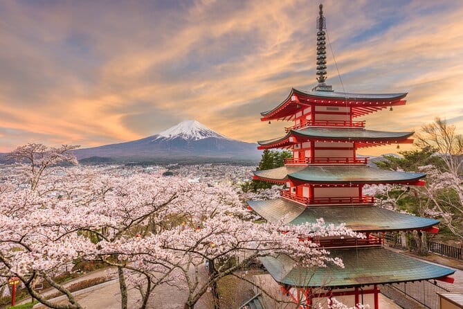 2-Day Tour: Mt Fuji and Tokyo Private Wagon & English Driver - Pickup Information