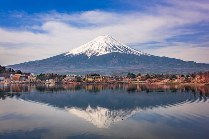 2-Day Tour: Mt Fuji and Tokyo Private Wagon & English Driver - Customer Feedback
