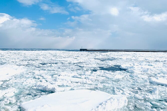 2 Day Tour to Icebreaker Mombetsu and Asahiyama Zoo in Hokkaido - Participant Reviews and Ratings