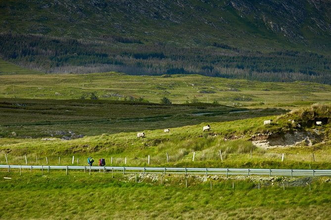 2-Day Western Ireland Tour from Dublin:Including Galway and Cliffs of Moher - Price and Value