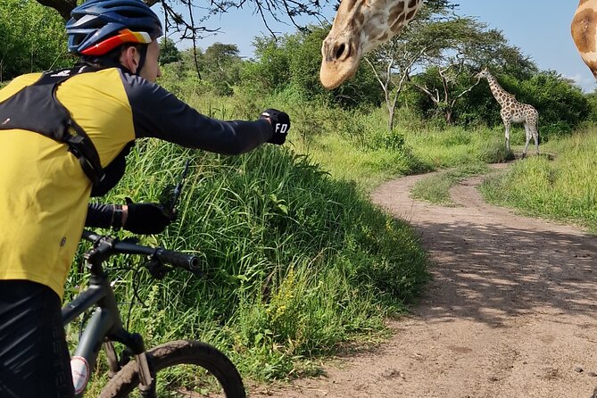 2 Days Cycling Safari To Lake Mburo National Park - Booking and Participation