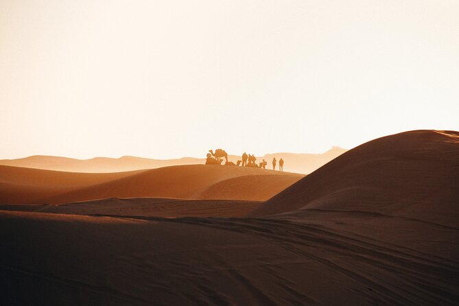 2 Days Desert Private Luxury Couples Retreat Camel Trek + Quad - Meeting and Pickup