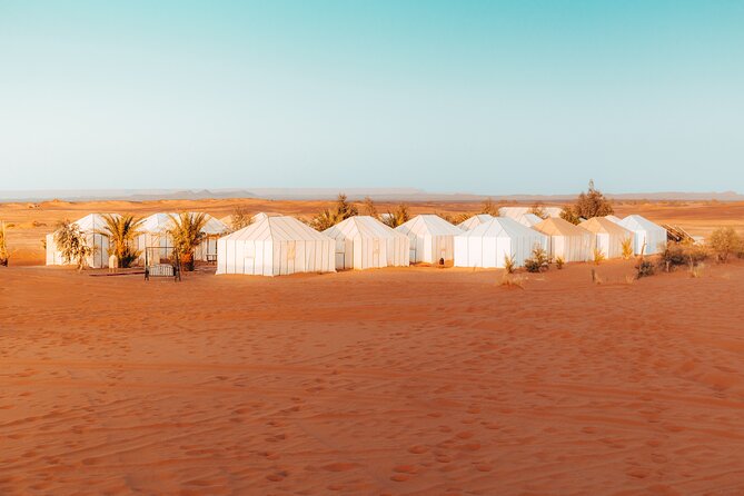 2 Days Desert Private Luxury Couples Retreat Camel Trek + Quad - Quad Biking Thrill