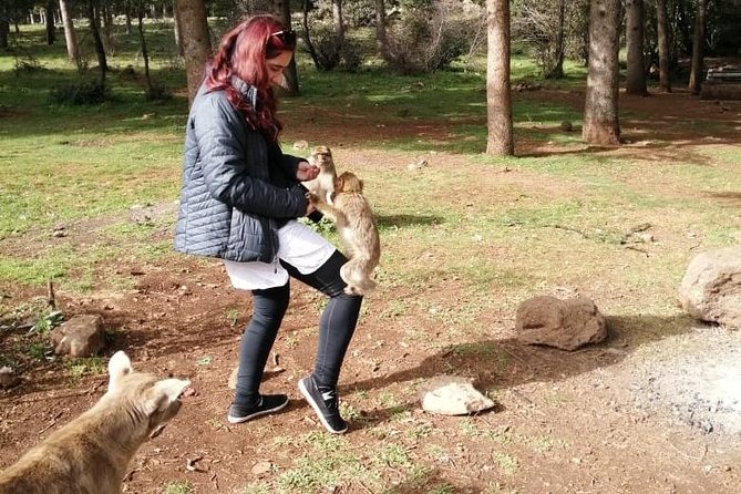 2 Days Fes Desert Trip Overnight Erg Chebbi End up Fes/Marrakech - Important Information