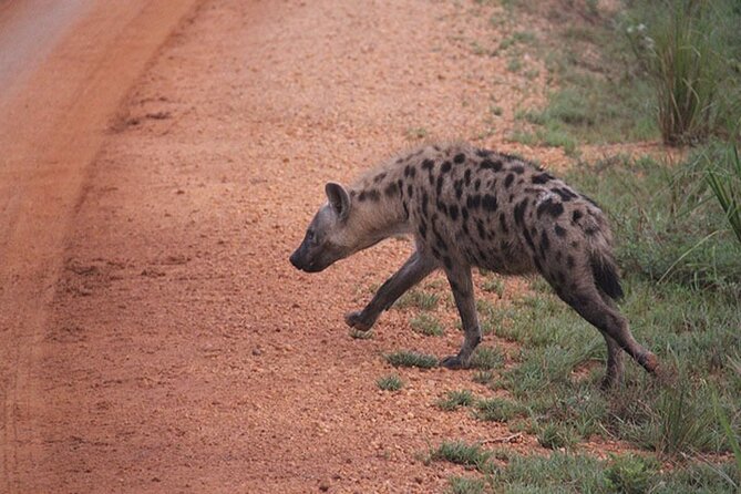 2-days Murchison Falls and Wildlife Game Viewing - Accessibility