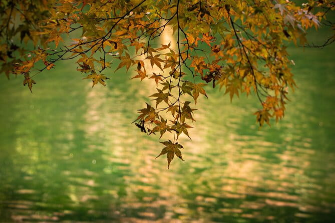 2 Days Private Luxury Zen Tour Temple Stay - Booking and Cancellation