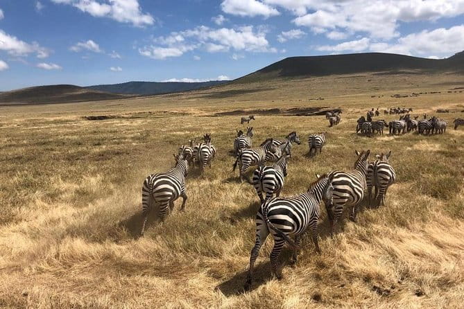 2-Days Private Midrange Safari; Tarangire & Ngorongoro Crater - Safari Destinations