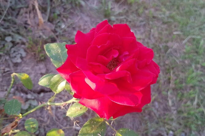 2 Days Private Tour - The Romanian Caves from Bucharest - Who Would Enjoy This Tour?