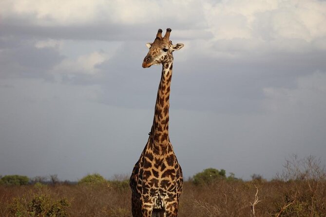 2 Days Safari Tsavo East - Additional Information