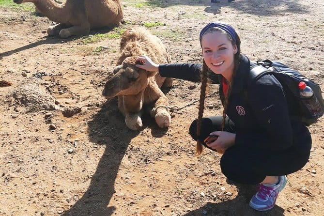 2 Days Tangier (Morocco) Trip from Seville - Key Points / Takeaways