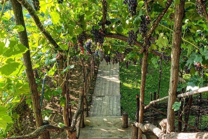 2 Days Tirana, Berat and Castle of Berat Tour - FAQ