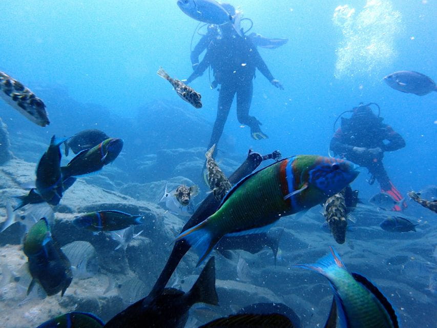 2-Dive Guided Scuba Diving For Qualified Divers - Booking Process and Tips