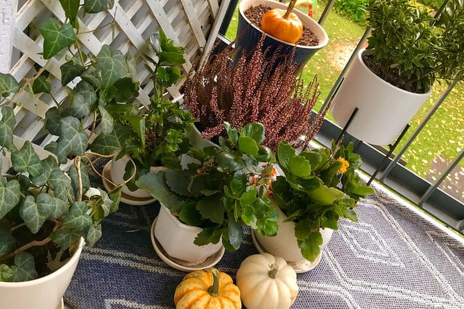 2-Hour Breakfast Experience in a Home from Warsaw - FAQ