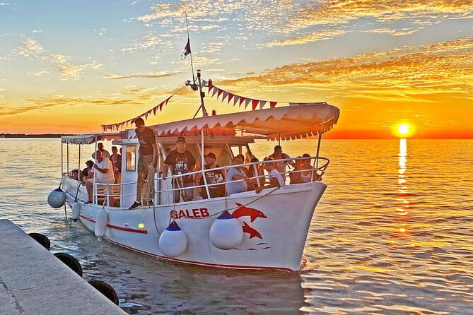 2-Hour Dolphin Guided Safari NP Brijuni from Fazana - The Itinerary and What Makes It Special