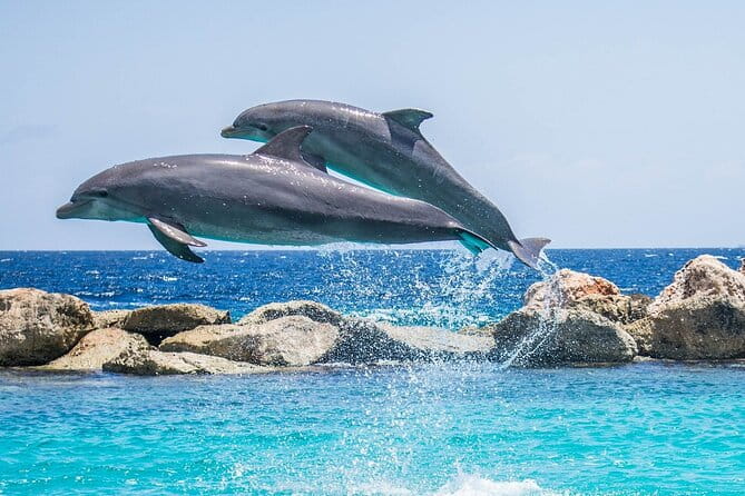 2-Hour Dolphin Sunset Tour from Giardini Naxos - Who Would Love This Tour?