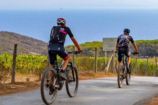 2-Hour e-bike Tour with Wine Tasting in Tenuta delle Ripalte - How It Fits into Your Elba Itinerary