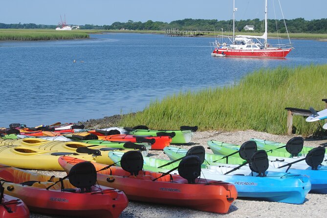 2-Hour Guided Kayak Eco Tour in Charleston - Kayaking Difficulty