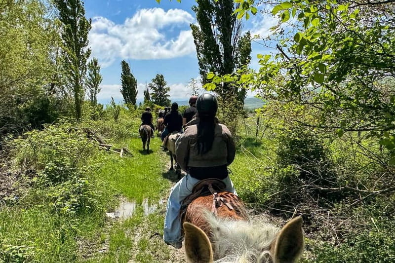 2-hour horse riding tour at Palomino Ranch - Key Points / Takeaways
